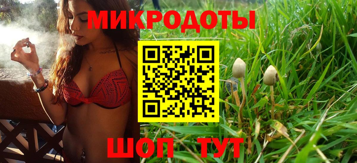 Псилоцибиновые грибы мухоморы Кизляр