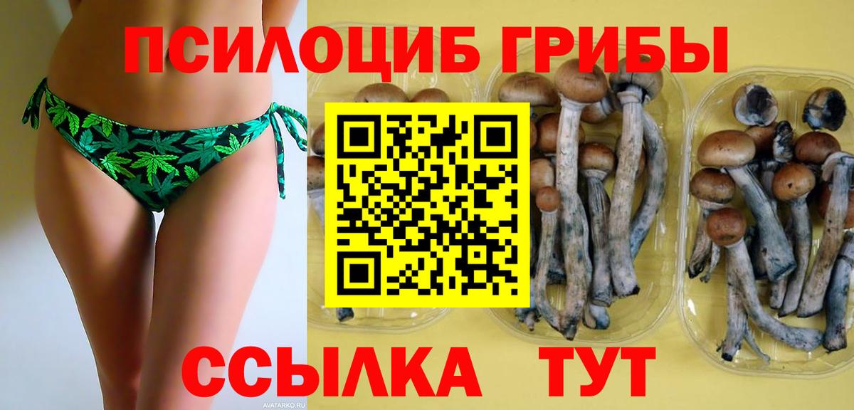 Галлюциногенные грибы Magic Shrooms  Вход с VPN  Псилоцибиновые грибы мицелий  Кизляр 